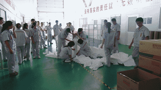 金力新能源