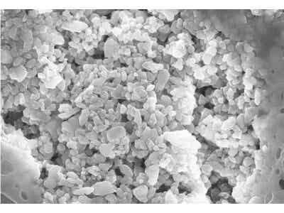 無機涂覆納米陶瓷涂層隔膜