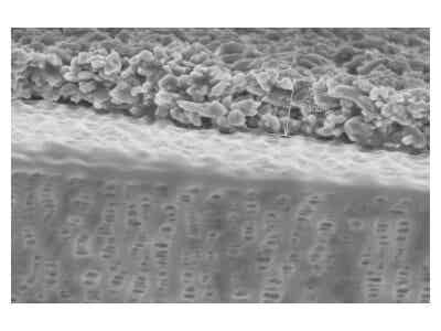 惠強(qiáng)新材 C系列涂覆膜（氧化鋁）