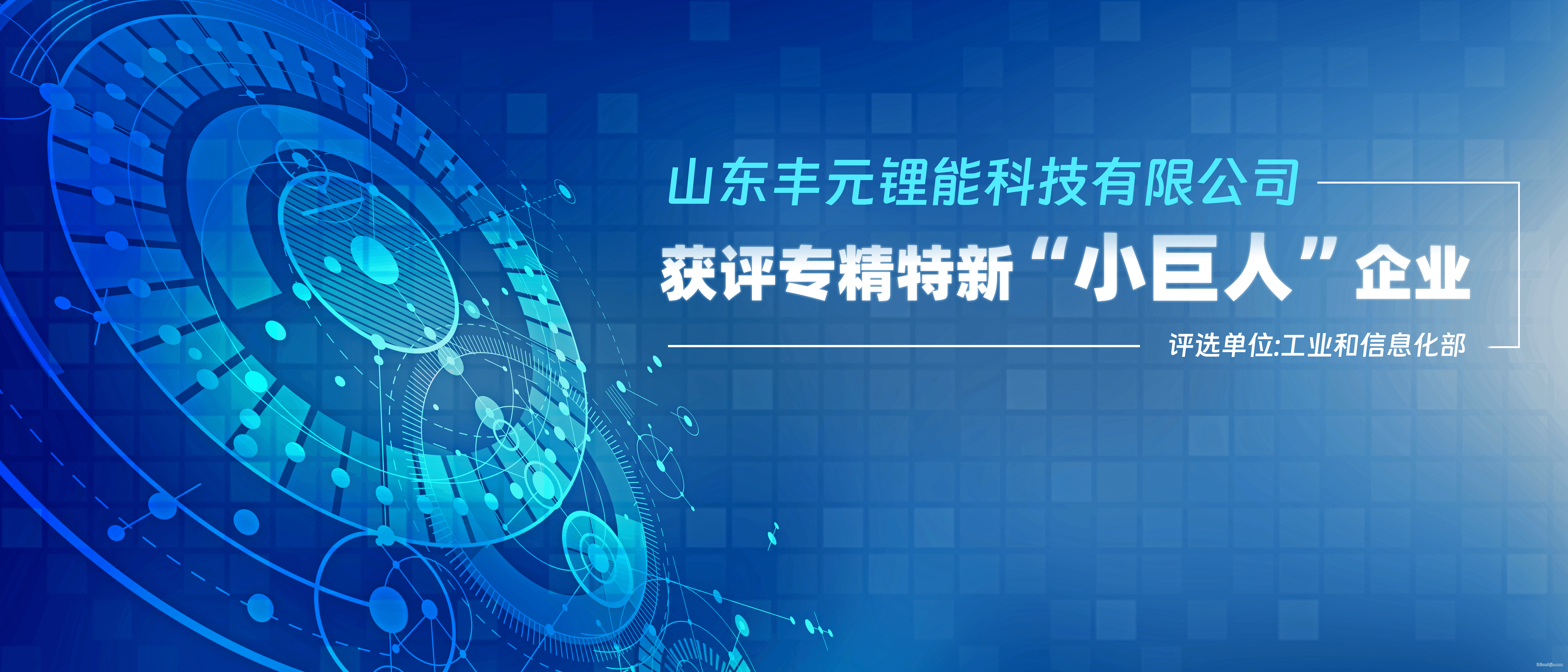 豐元鋰能獲評專精特新小巨人企業(yè)
